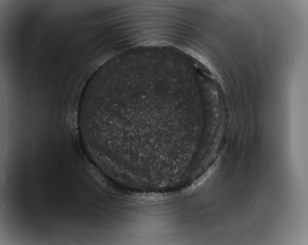 X0000088920881200707061401