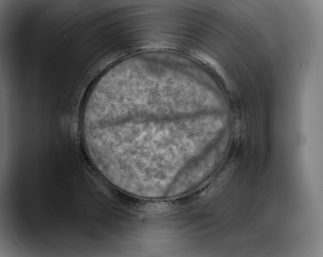 X0000088920882200707061401