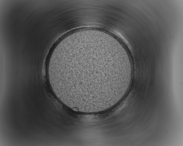 X0000088920883200707061401