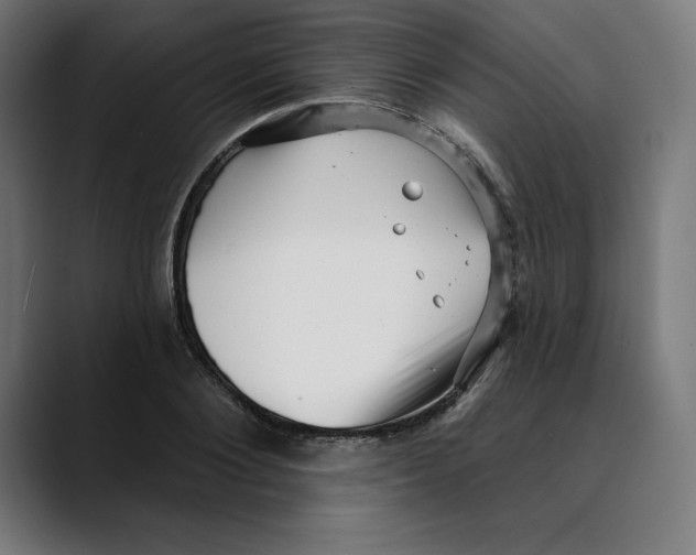 X0000088920884200707061401