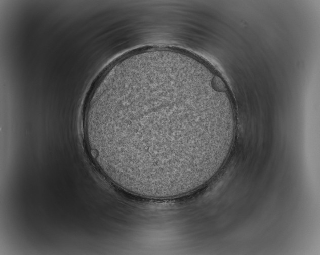 X0000088920887200707061401
