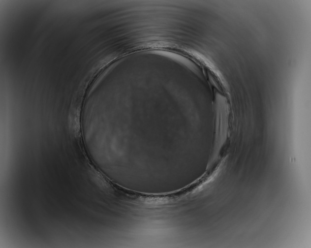 X0000088920889200707061401