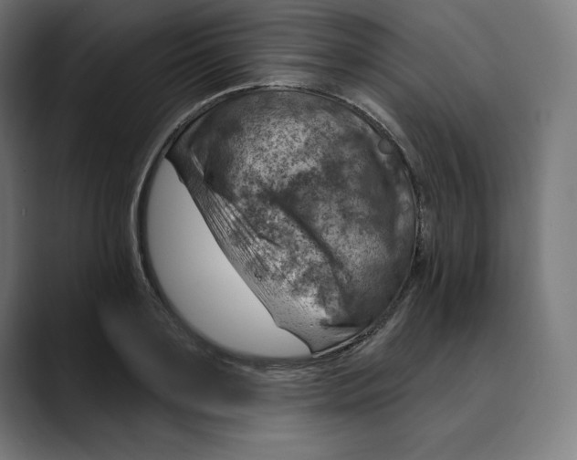X0000088920891200707061401