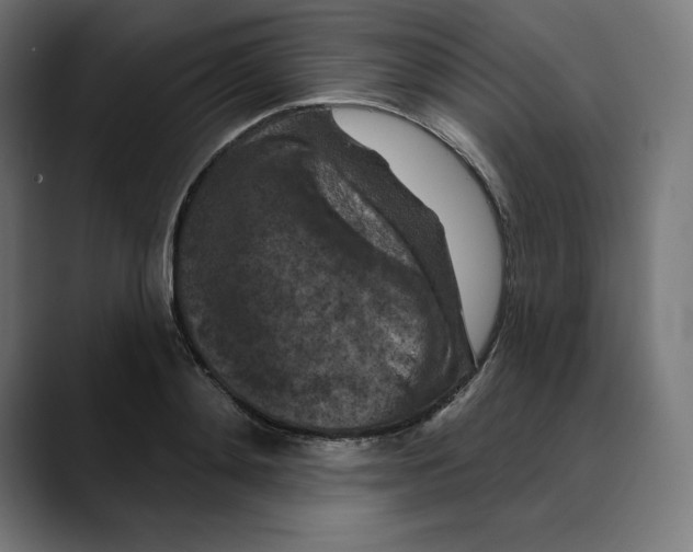 X0000088920892200707061401