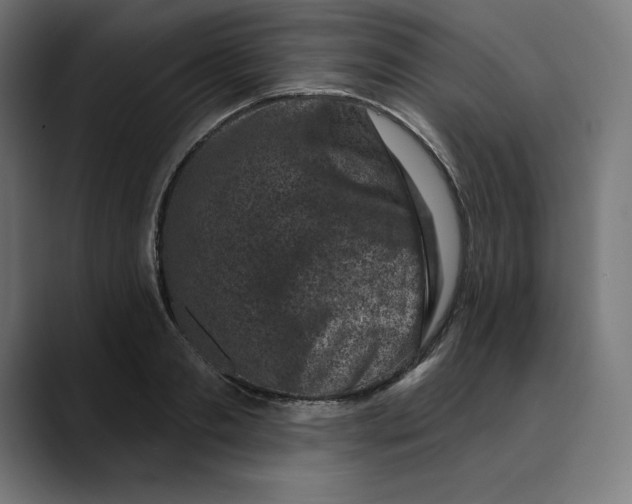 X0000088920893200707061401