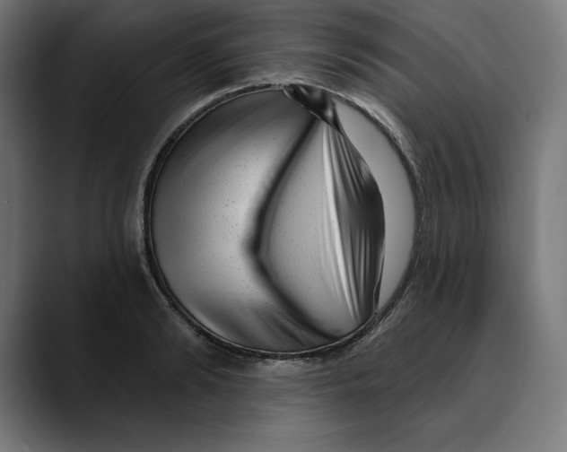 X0000088920894200707061401
