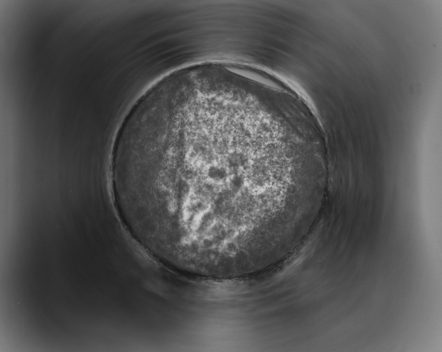 X0000088920895200707061401