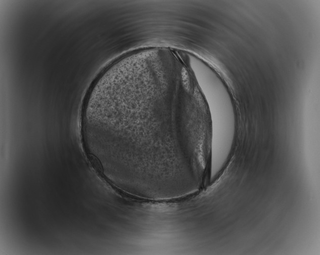 X0000088920896200707061401