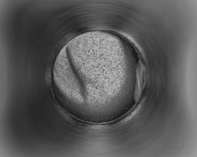X0000088920897200707061401