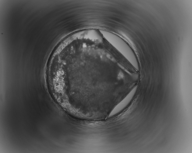 X0000088920899200707061401