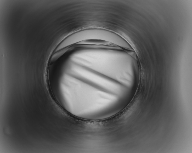 X0000088920901200707061401