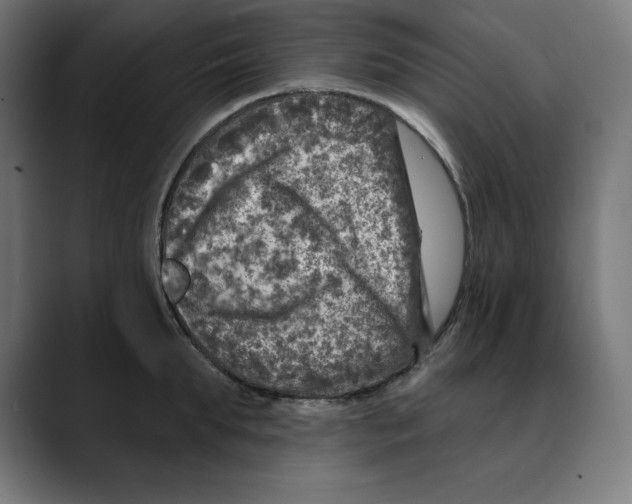 X0000088920903200707061401