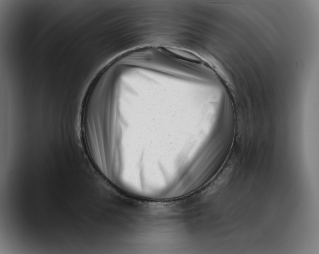X0000088920904200707061401