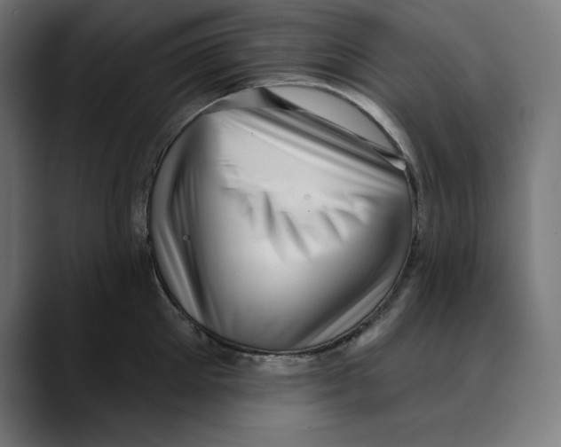 X0000088920905200707061401