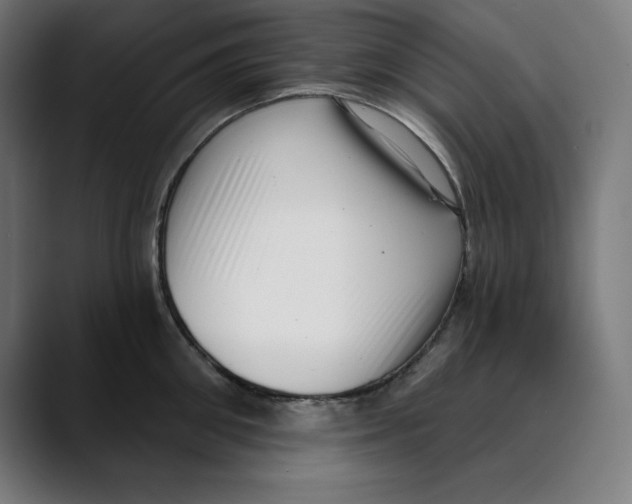 X0000088920906200707061401