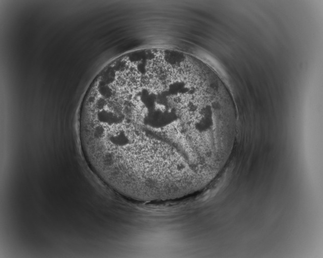 X0000088920907200707061401