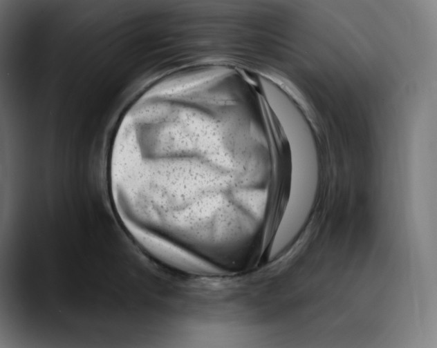X0000088920910200707061401
