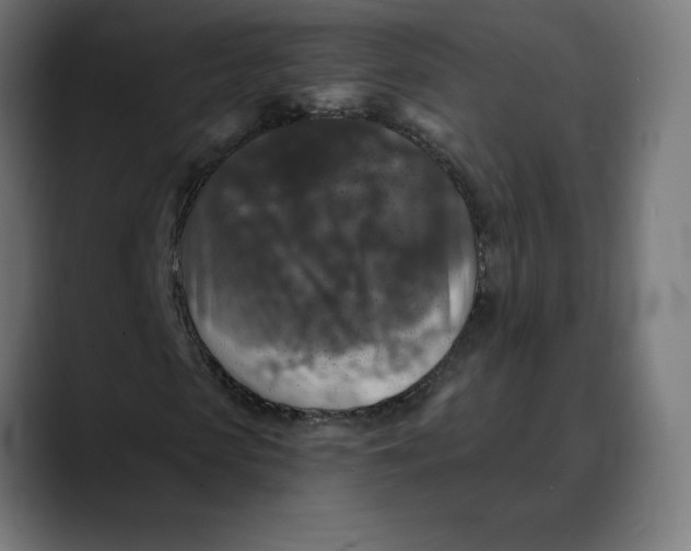 X0000088920913200707061400