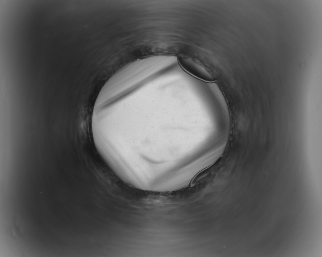 X0000088920914200707061400