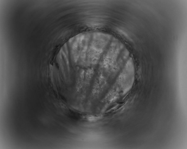 X0000088920917200707061400