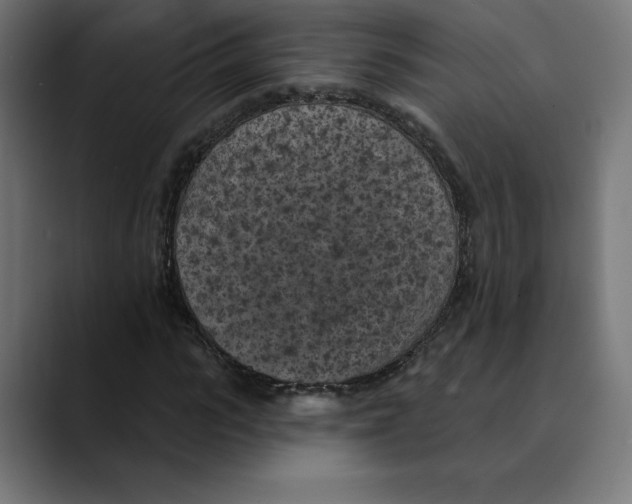 X0000088920919200707061400