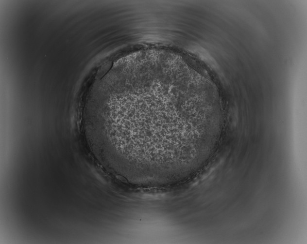 X0000088920920200707061400