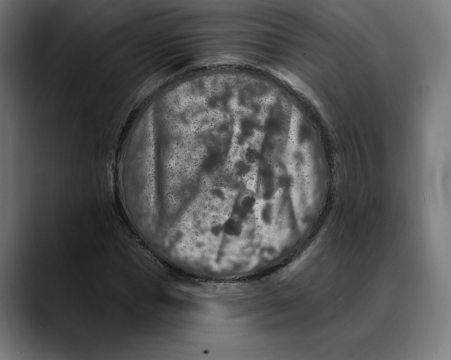 X0000088920921200707061400