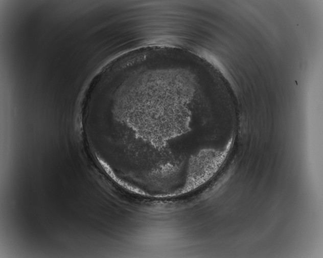 X0000088920923200707061400