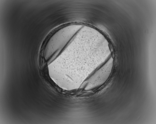 X0000088920924200707061400