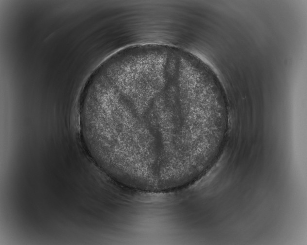 X0000088920925200707061400