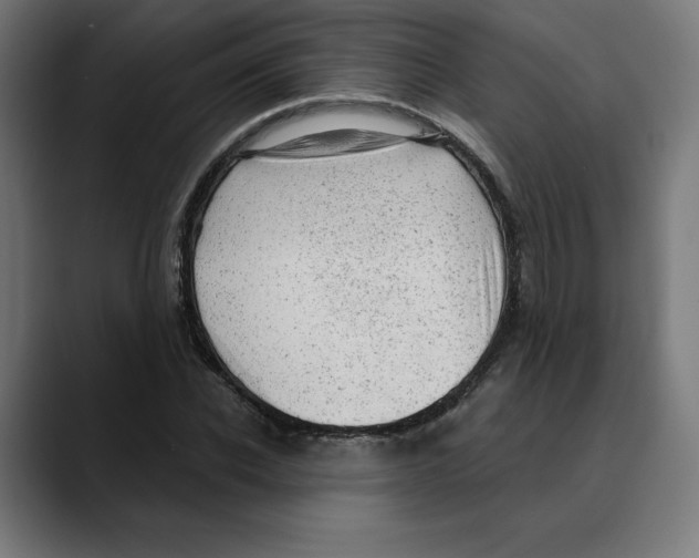 X0000088920926200707061400