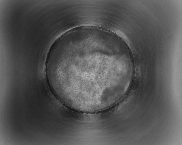 X0000088920928200707061400