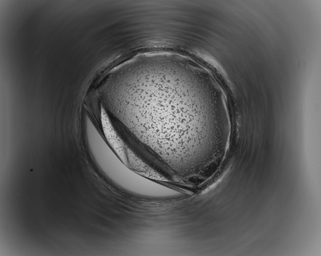 X0000088920930200707061401