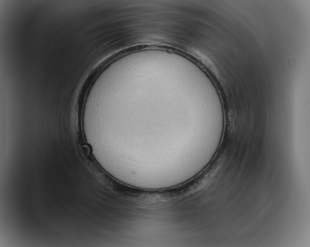 X0000088920931200707061401