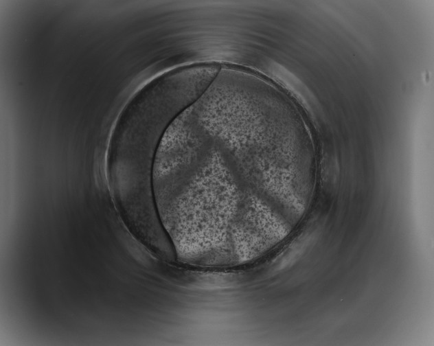 X0000088920932200707061401