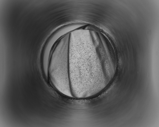 X0000088920934200707061401