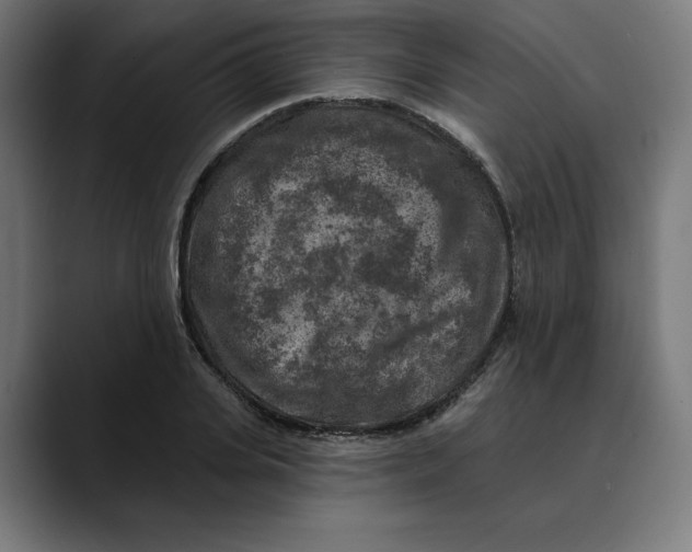 X0000088920935200707061401