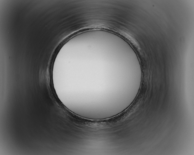 X0000088920936200707061401