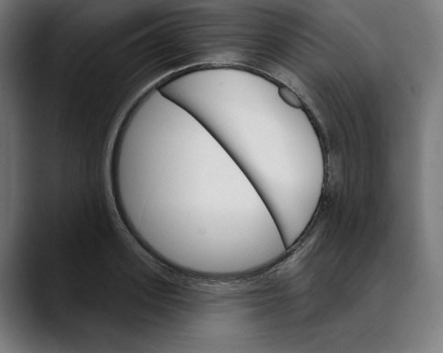 X0000088920939200707061401