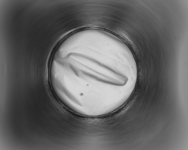 X0000088920940200707061401