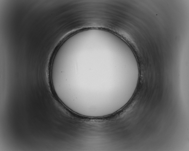 X0000088920942200707061401