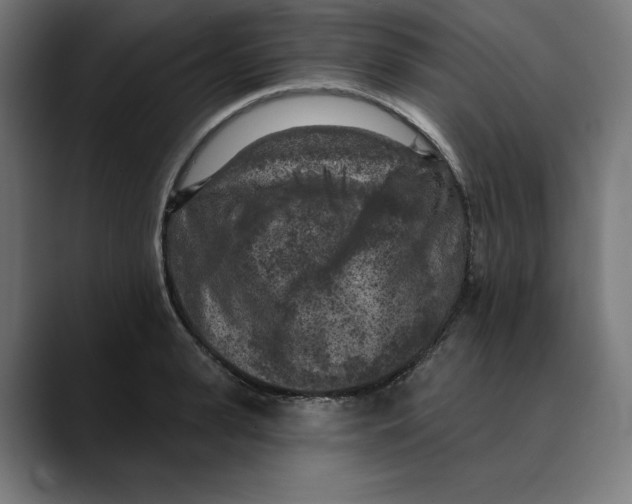 X0000088920943200707061401