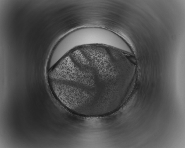 X0000088920944200707061401