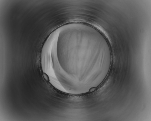 X0000088920945200707061401