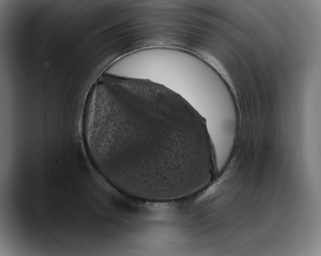 X0000088920946200707061401