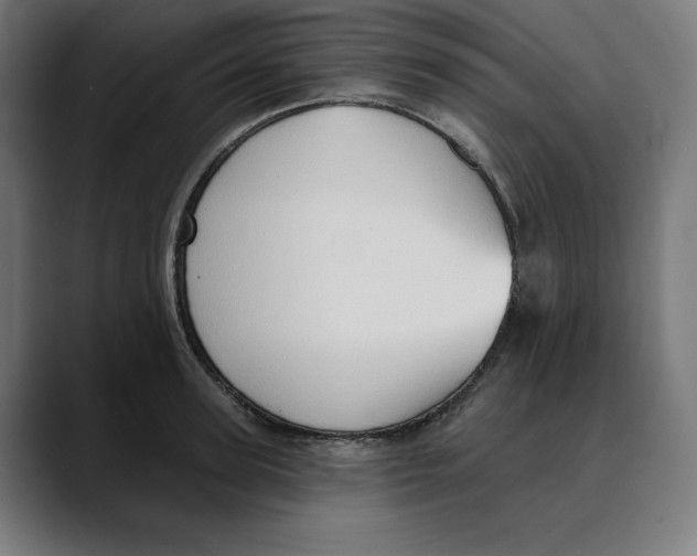 X0000088920947200707061401