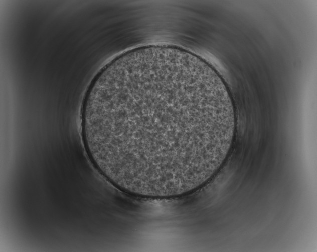 X0000088920950200707061401