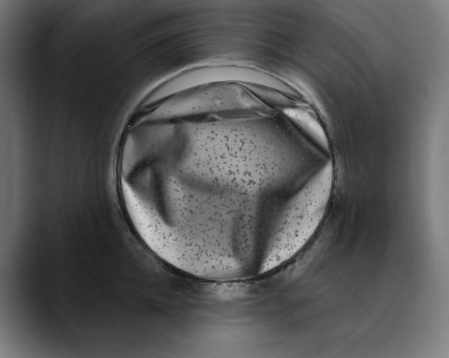 X0000088920952200707061401