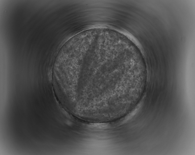X0000088920953200707061401