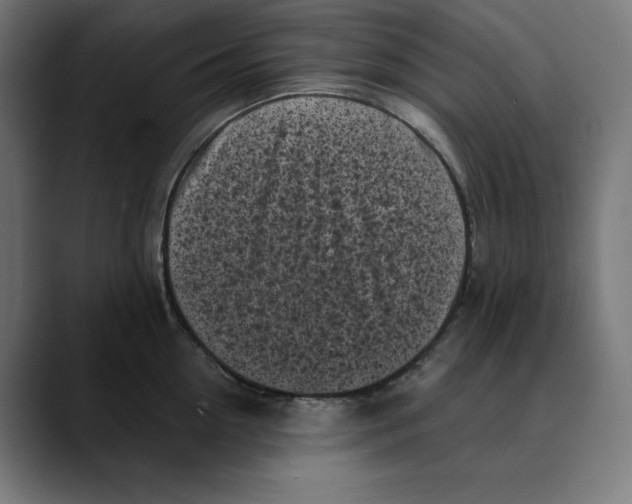 X0000088920954200707061401